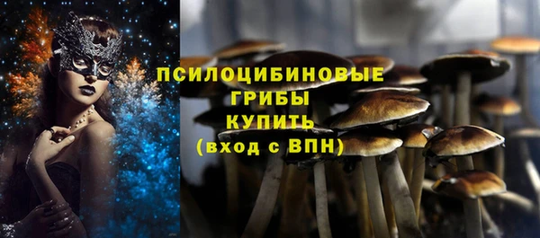 2c-b Алексеевка
